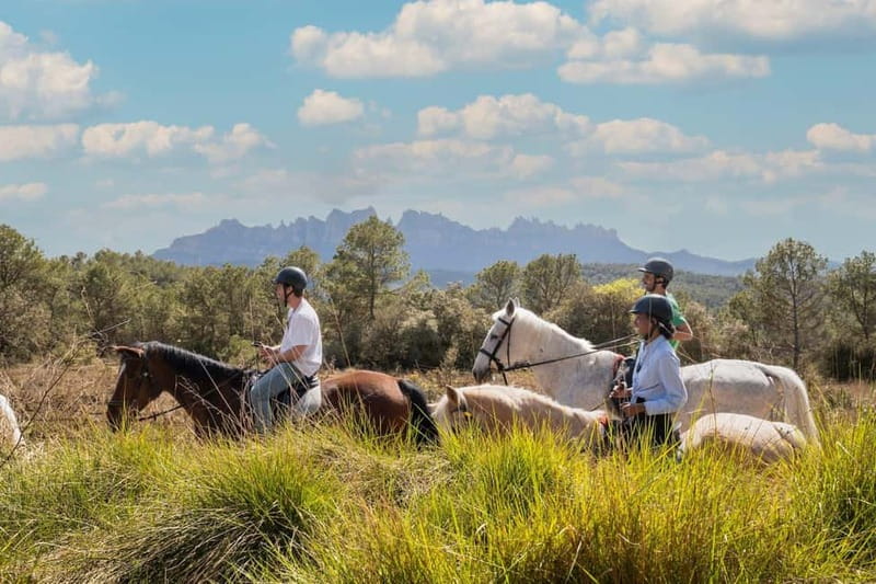 From Barcelona: Montserrat Walking and Horseback Riding Tour - Montserrat National Park Walk: Short Trails, Real Nature Time
