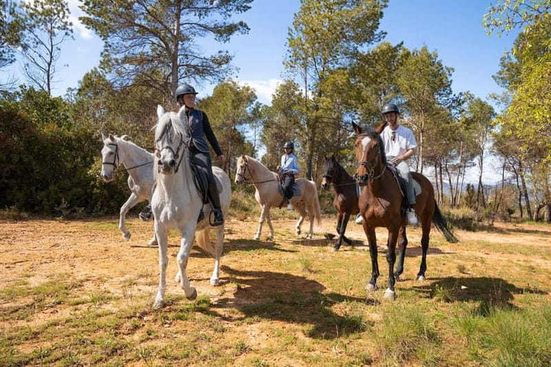 From Barcelona: Montserrat Walking and Horseback Riding Tour - Price and Value: What You Get for $116