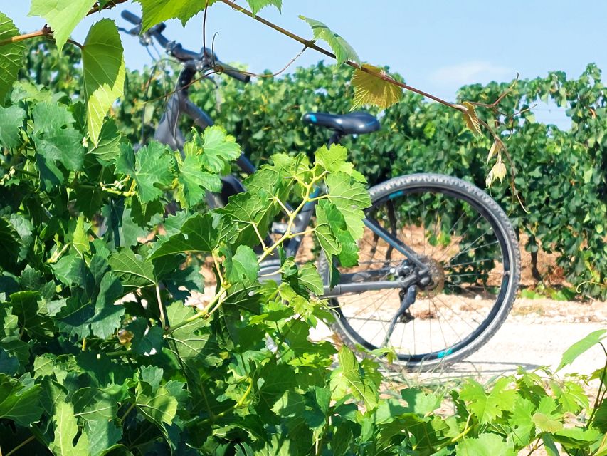 From Barcelona: Penedès E-Bike Tour with 2 Winery Visits - Key Highlights Worth Waking Up For