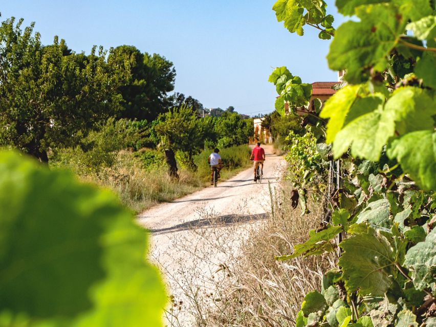 From Barcelona: Penedès E-Bike Tour with 2 Winery Visits - The Vineyard Ride: Easy Pedaling With Real Quiet Roads