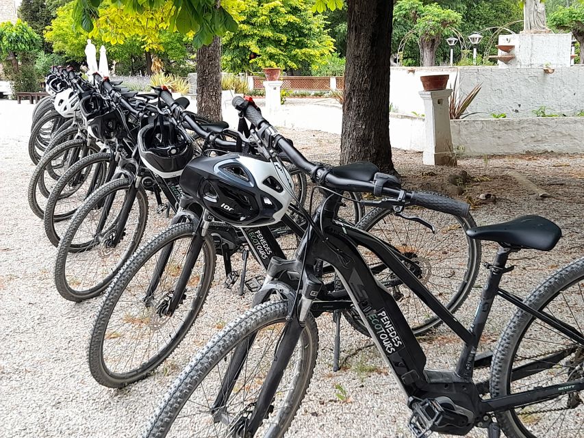 From Barcelona: Penedès E-Bike Tour with 2 Winery Visits - Winery Stop Two: Cellar Walkthrough, Four More Samples, and Snacks