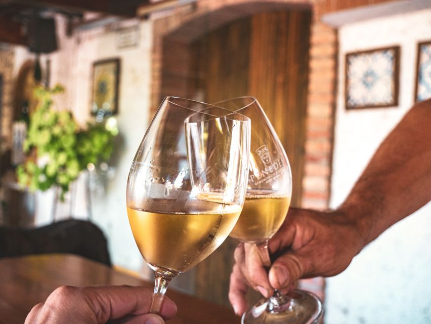 From Barcelona: Penedès E-Bike Tour with 2 Winery Visits - What “Seven Wines and Cavas” Teaches You About Penedès
