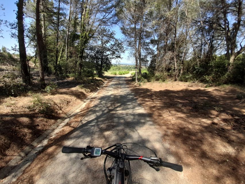 From Barcelona: Penedès E-Bike Tour with 2 Winery Visits - Pace and Group Size: Small-Group Comfort Without Slowness
