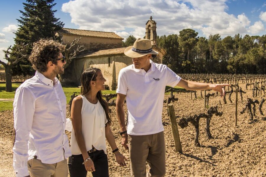 From Barcelona: Penedés Vineyards Tour by 4WD w/Wine & Cava - Should You Book This Penedès 4WD Wine and Cava Tour?