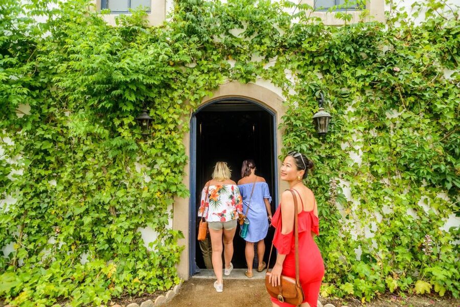 From Barcelona: Penedés Vineyards Tour by 4WD w/Wine & Cava - The 4x4 Convertible Vineyard Ride: Why It Matters