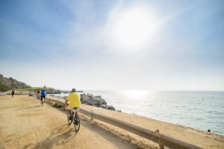 From Barcelona: Private Alella Wine Tour by Electric Bike - Key Things You’ll Notice on This Alella E-Bike Wine Tour