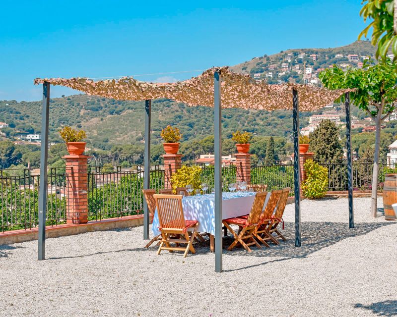 From Barcelona: Private Alella Wine Tour by Electric Bike - Riding the Mediterranean Edge: From Carrer del Judici to Alella