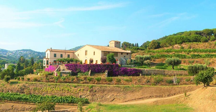 From Barcelona: Private Alella Wine Tour by Electric Bike - Beach Breaks and Real Local Summer Life