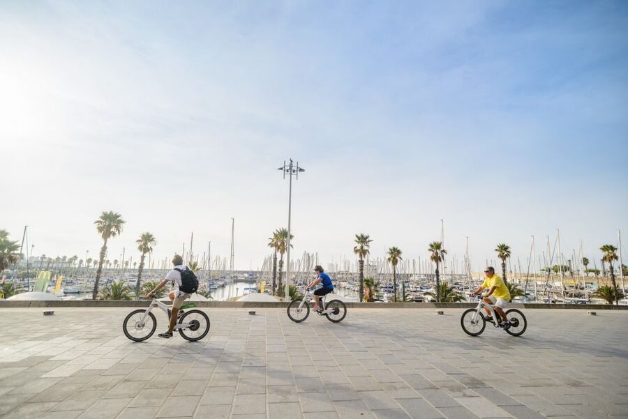 From Barcelona: Private Alella Wine Tour by Electric Bike - Entering Alella: A Family-Run Organic Winery Visit