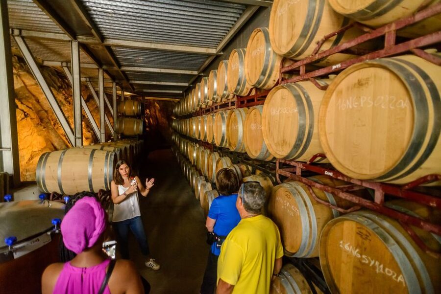 From Barcelona: Private Alella Wine Tour by Electric Bike - Vineyard Picnic: Local Bread, Cheese, and Time to Linger