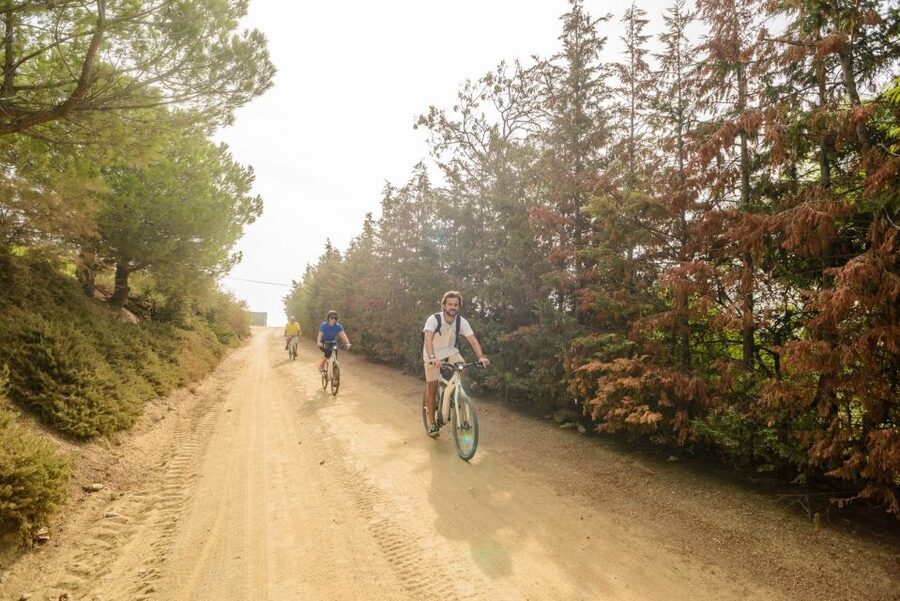 From Barcelona: Private Alella Wine Tour by Electric Bike - Price and Value at $294 per Person