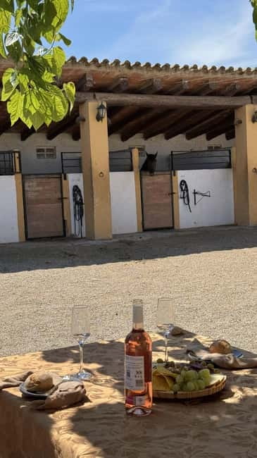 From Barcelona: PRIVATE Horseback Ride + Tapas + Picnic - The full itinerary, hour by hour (and what each part is really for)