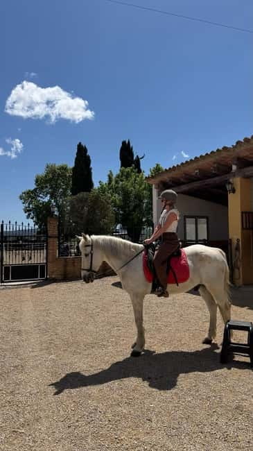 From Barcelona: PRIVATE Horseback Ride + Tapas + Picnic - Price and value: is $347 per person worth it?