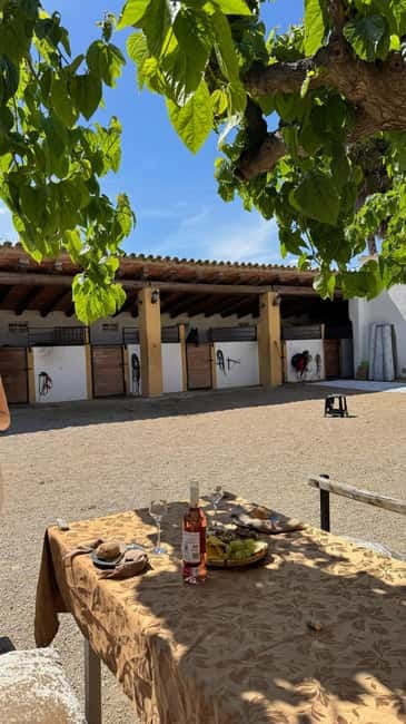 From Barcelona: PRIVATE Horseback Ride + Tapas + Picnic - Best fit: families, beginners, and friend groups with a half-day window