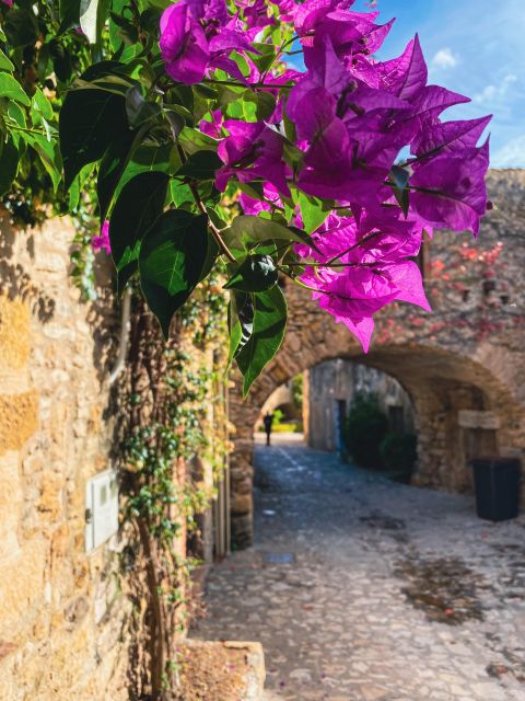 From Barcelona: Small-Group Tour Costa Brava & Dali Museum - What to bring: shoes, water, and summer swim gear