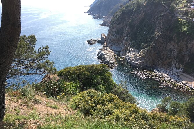 From Barcelona : Tossa de Mar, Coastal Path, Boat and Costa Brava - Price and value: what $108.61 covers