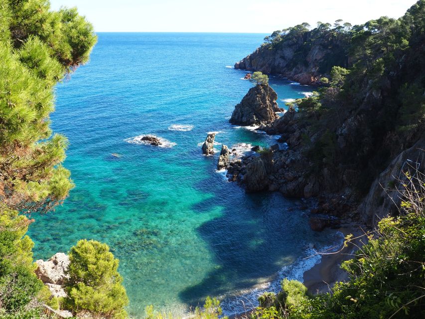 From Girona: Medieval Costa Brava Day Trip - Pals guided tour: history you can walk through