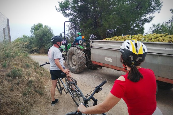 From Sitges: Bike Tour and Winery Visit with Free Hotel Pick Up. - Wine and cava tastings: what’s included vs. what costs extra