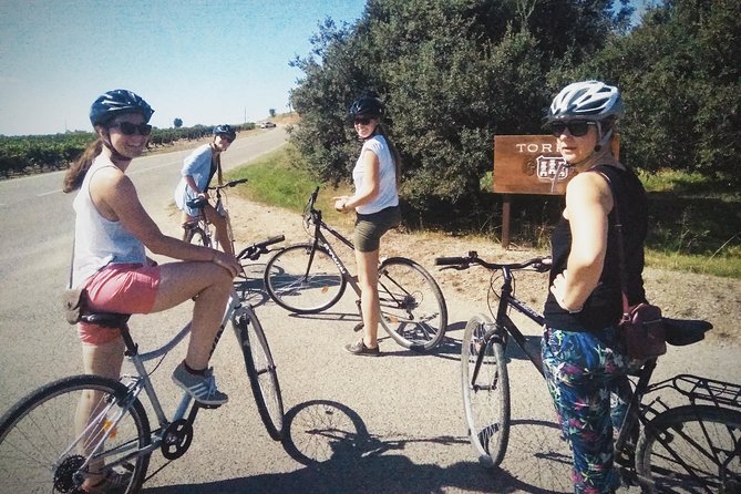From Sitges: Bike Tour and Winery Visit with Free Hotel Pick Up. - Alex as host: why the group size makes the tour feel personal