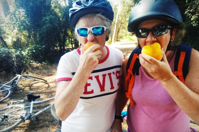 From Sitges: Bike Tour and Winery Visit with Free Hotel Pick Up. - How much should you pay? Value behind the $111.26 price