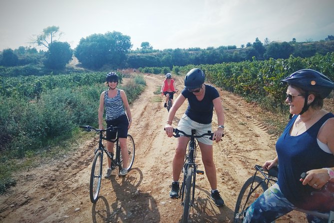 From Sitges: Bike Tour and Winery Visit with Free Hotel Pick Up. - Who this Sitges bike and cava tour suits best