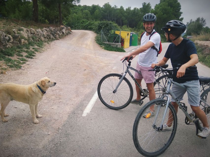 From Sitges: Cycling Tour with Winery visit and Tasting - How cava and wine are made: what the guide actually helps you notice