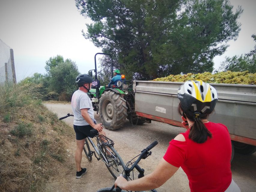 From Sitges: Cycling Tour with Winery visit and Tasting - Meeting the people behind the tasting: Alex, Marisa, and Montse