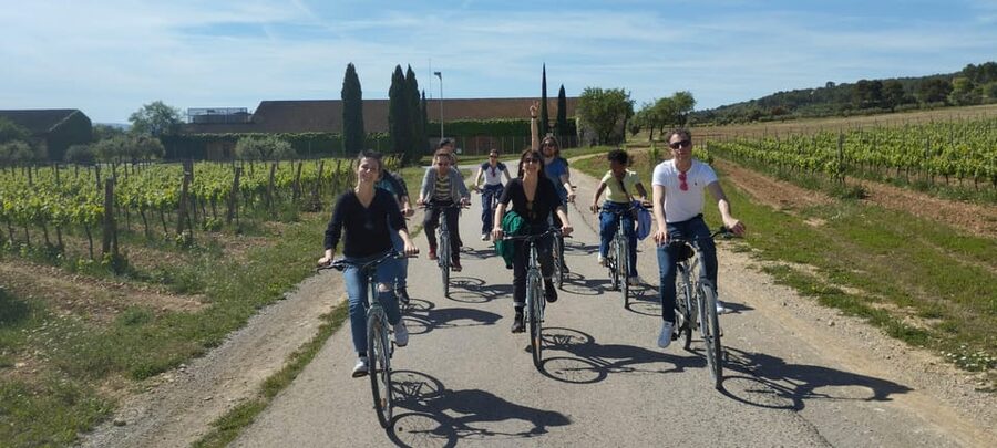 From Sitges: Cycling Tour with Winery visit and Tasting - The bike ride: easy pace, 15 km, and real vineyard views