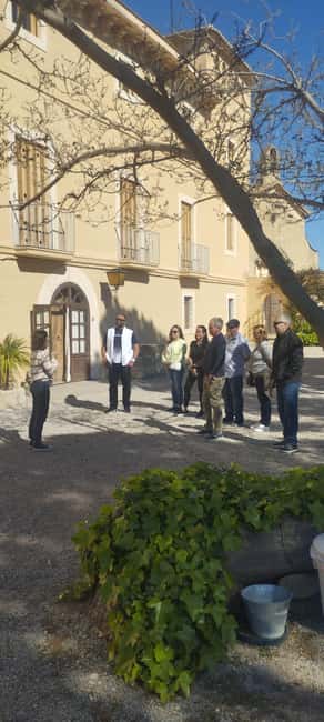 From Sitges: Wine Tasting at 2 Wineries with Hotel Pickup - The Short Van Hop Between Wineries