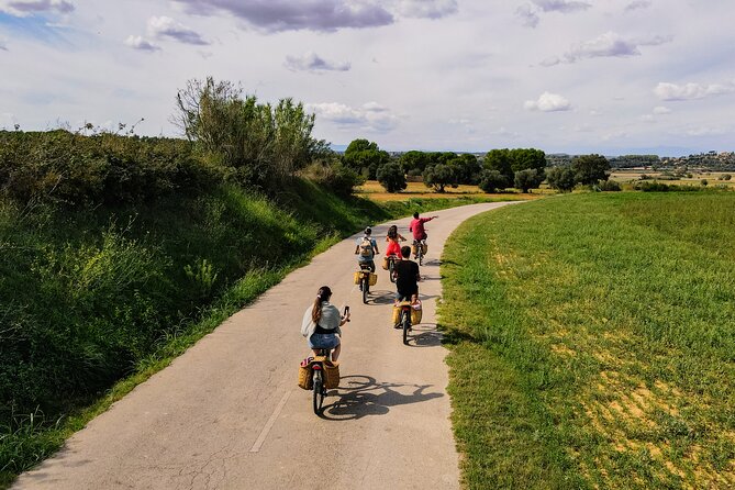 Full-Day Costa Brava and E-Bikes Guided Tour from Barcelona - Key highlights you’ll actually feel on this tour