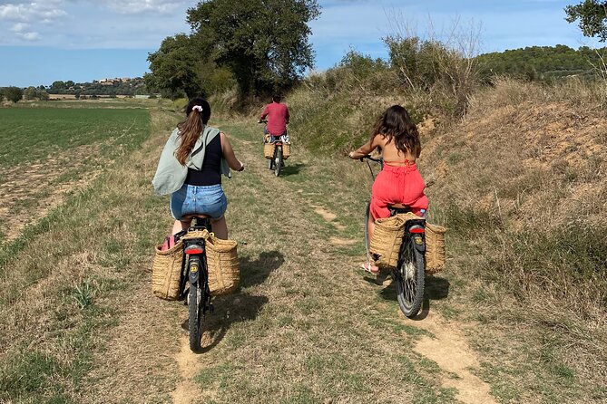 Full-Day Costa Brava and E-Bikes Guided Tour from Barcelona - The van ride back: your day closes at the same meeting point