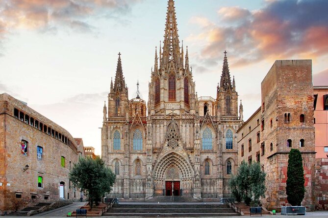 Full-Day Private Guided All Inclusive Barcelona Shore Excursion - Barcelona Cathedral: palms, geese, and the crypt under your feet