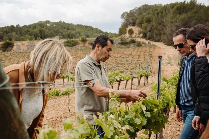 Full-Day Trip Barcelona to Montserrat Monastery & Cava Winery - How Long It Really Feels (and What to Wear)