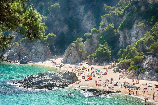 Girona and Costa Brava Private Tour with Pick-up from Barcelona - Tamariu lunch time: what you can do with your hour