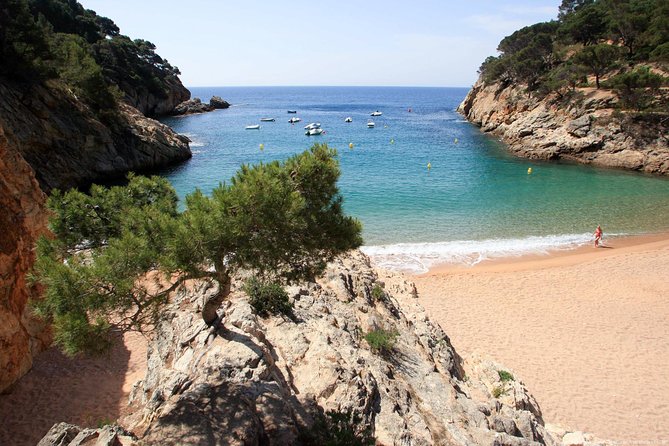Girona & Costa Brava Small-Group Tour with Pickup from Barcelona - Walking, Stairs, and Weather: The Reality Check That Saves Trips