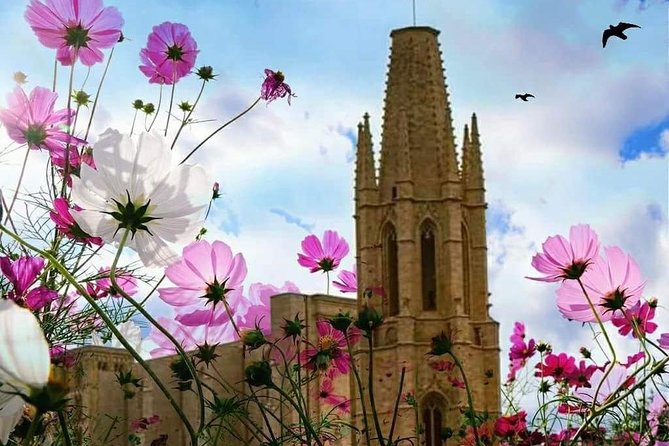 Girona Guided Tour with Cathedral, Arab Baths & St Feliu Basilica - Stop 2: Girona Cathedral (40 minutes, ticket included)