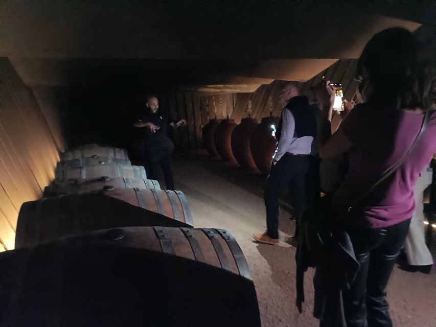 Girona: Local Wineries Tour with Breakfast and Wine Tasting - Key highlights