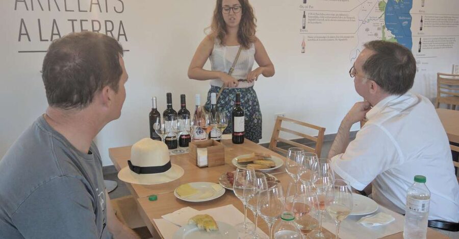 Girona: Local Wineries Tour with Breakfast and Wine Tasting - Price and value: is $175 fair for this Girona half-day?