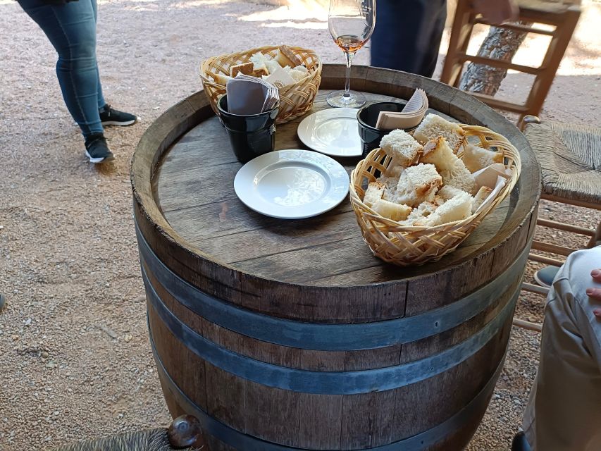 Girona: Local Wineries Tour with Breakfast and Wine Tasting - Two winemaking approaches: tradition and newer generation methods