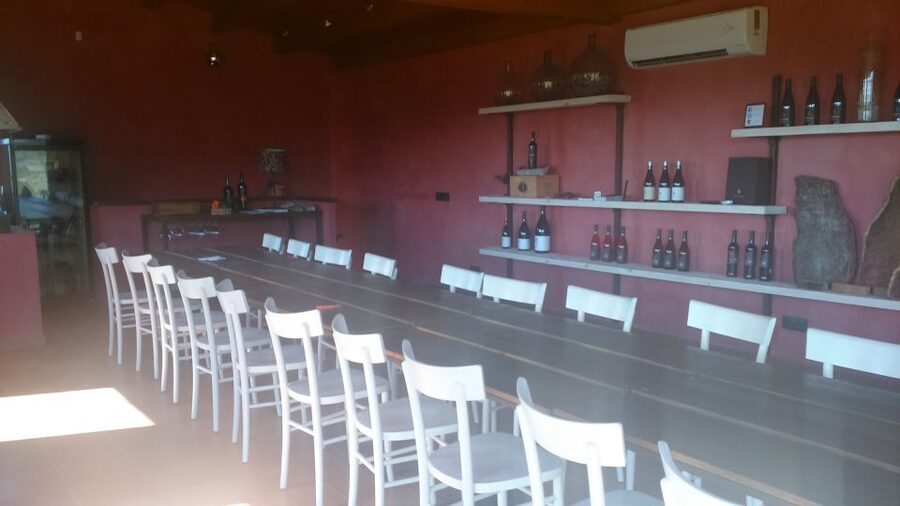 Girona: Local Wineries Tour with Breakfast and Wine Tasting - The tasting menu: how to plan for about 15 wines in 5 hours