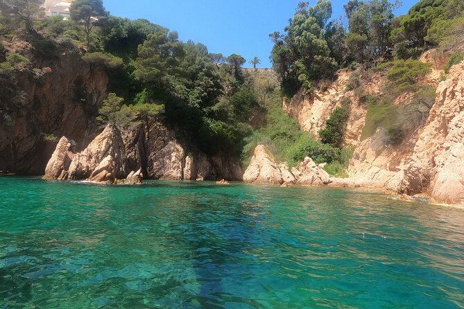 Guided Kayak & Snorkel tour to Costa Brava: Small Group and Lunch - Is $107.17 Worth It? The Value Check