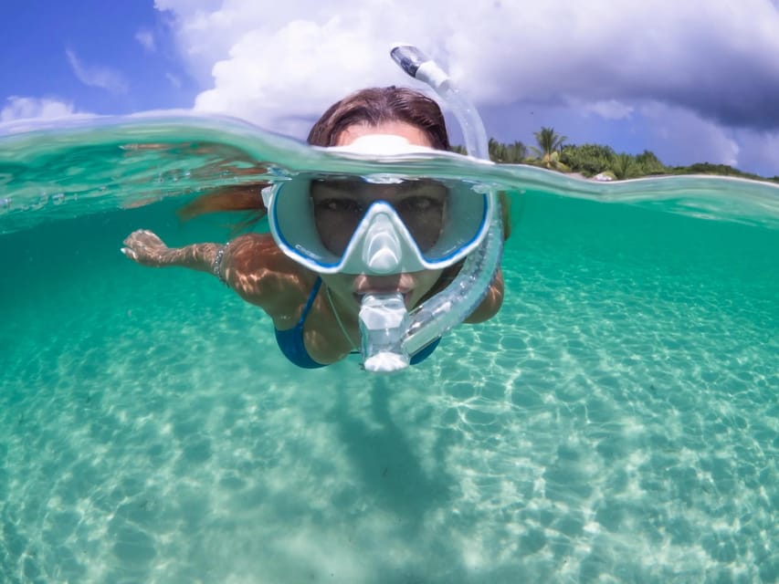 Guided Snorkel in Barcelona Beach - Key Points You’ll Care About