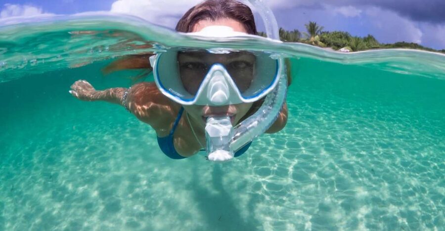 Guided Snorkel in Barcelona Beach - Barcelona Snorkeling at Platja de Llevant: What You’re Really Buying