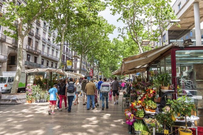 Half Day Barcelona Private Walking Tour - Key highlights to expect