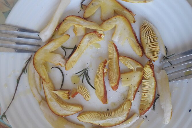 Half Day Gastronomic Wild Walk in Girona - Key Highlights You’ll Care About