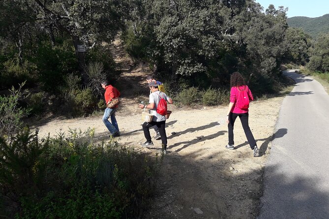 Half Day Gastronomic Wild Walk in Girona - Practical Tips for a Smooth Half-Day Morning