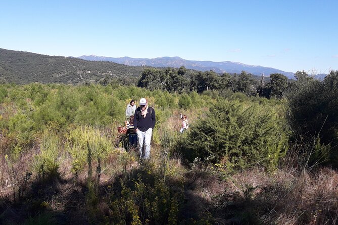 Half Day Gastronomic Wild Walk in Girona - How the Walk Works: Flora, Fauna, Mushrooms, and Geological Clues
