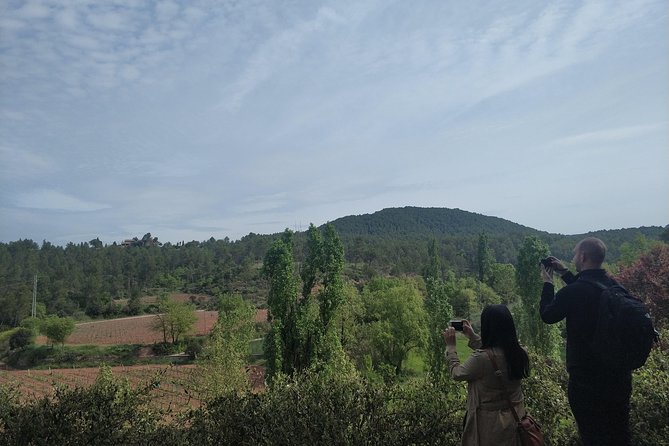 Half Day Private Wine & Oil Tasting Tour near Barcelona with hotel pick up - Price and value: $486.64 per person is high, so justify it smartly