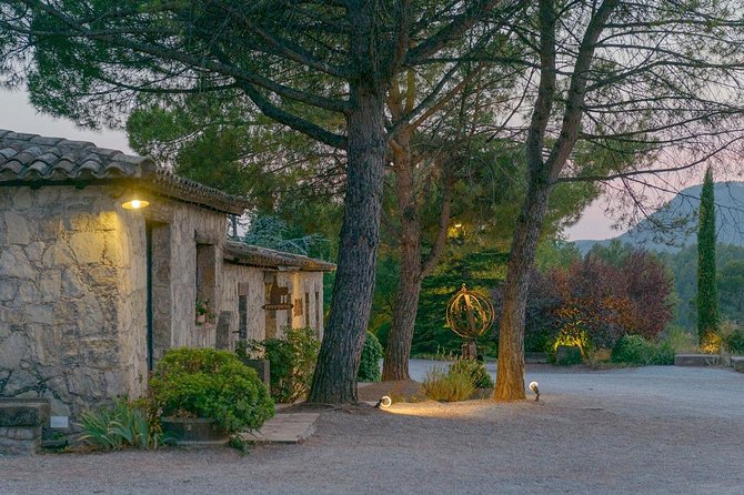Half Day Private Wine & Oil Tasting Tour near Barcelona with hotel pick up - The 8:00 am start: what “half-day” really means here