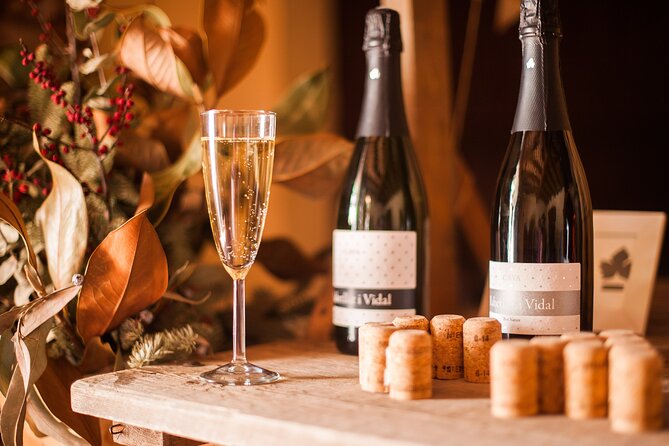 High-End Vineyard Escape: Cava, Tapas & Wine | Private Tour - When things might change: the possibility of swapping wineries